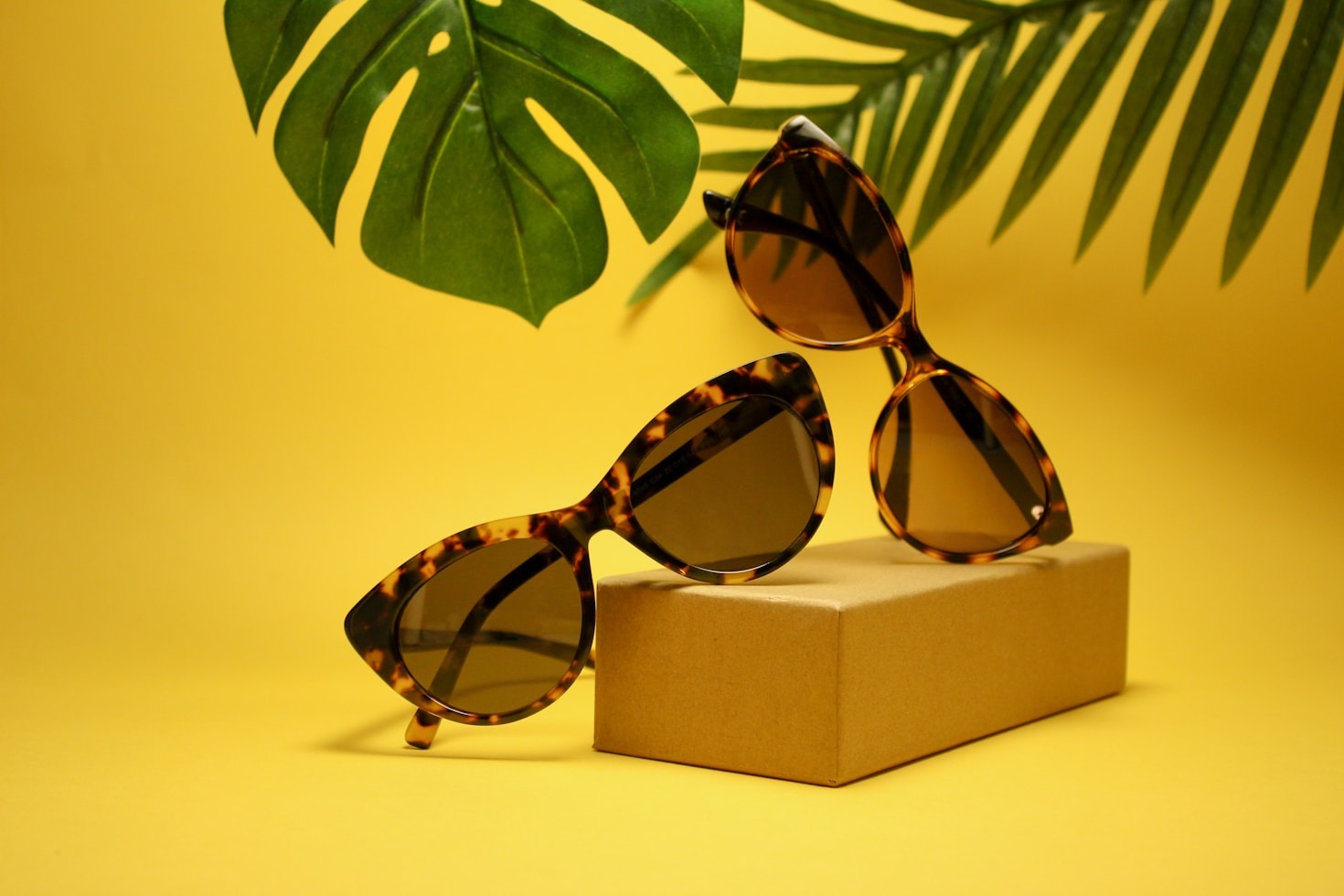 Unlocking The Best Trends From The Past